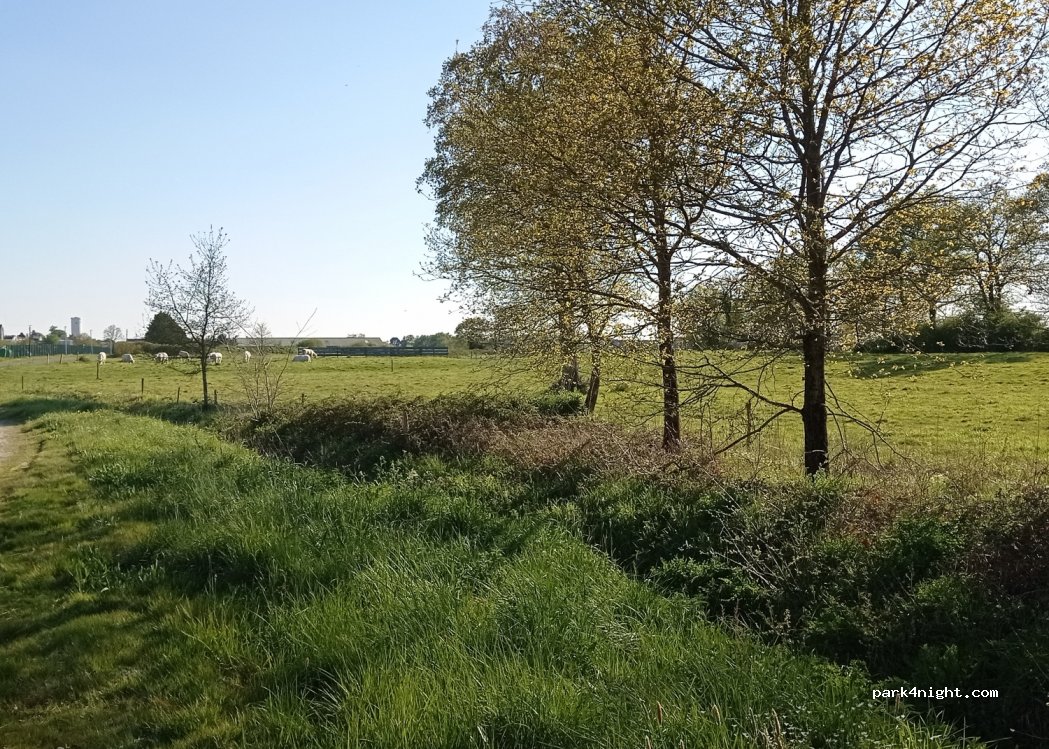 (44650) Legé - La Charrié — foto 4