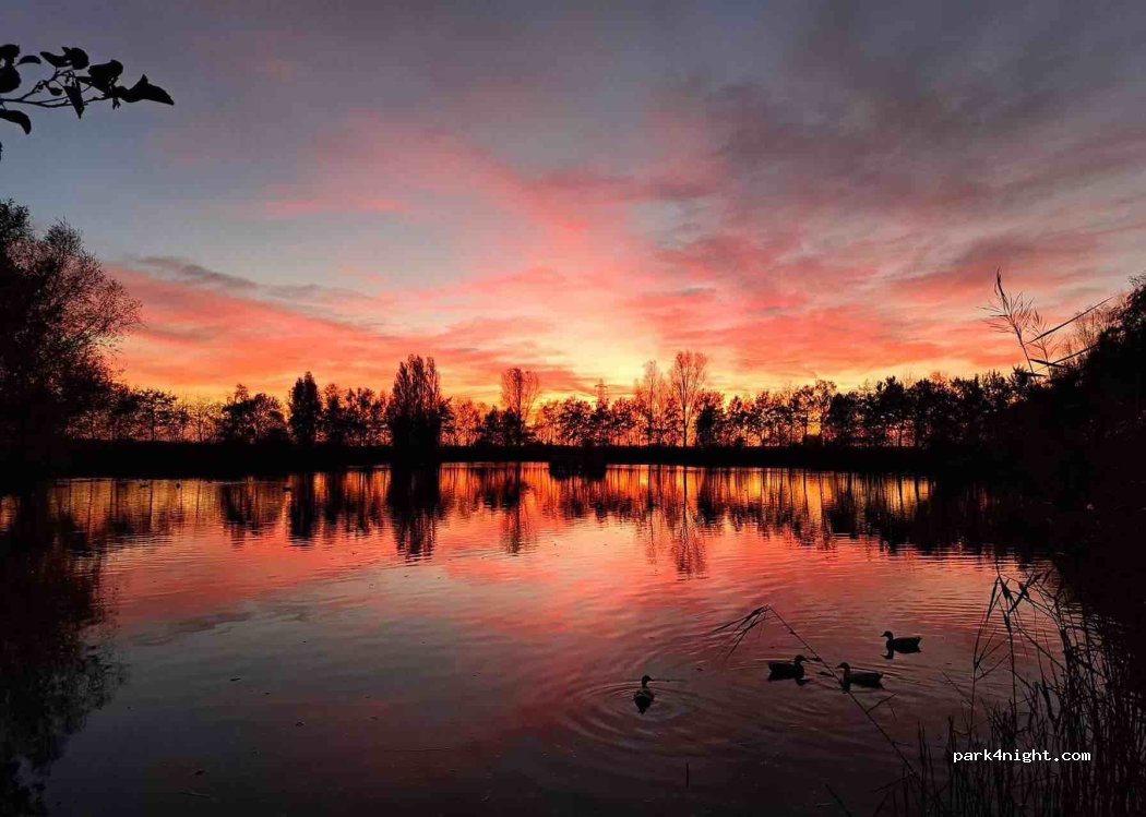 Fourways Country Park — foto 4