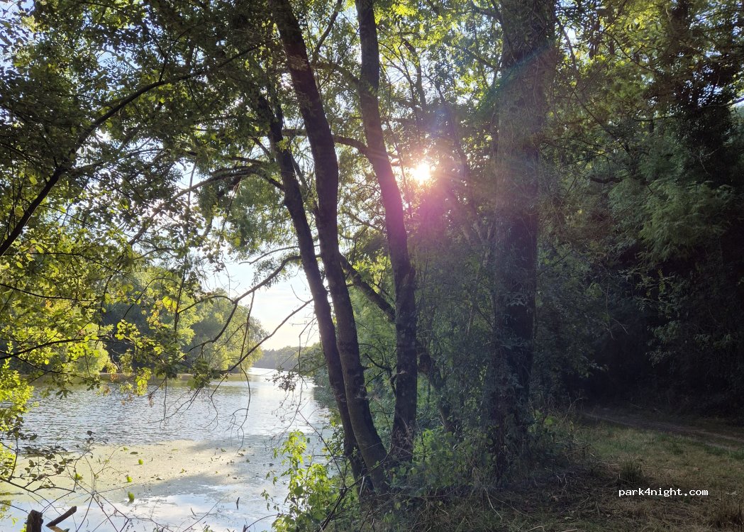 (44120) Vertou - Les Thébaudières — foto 5