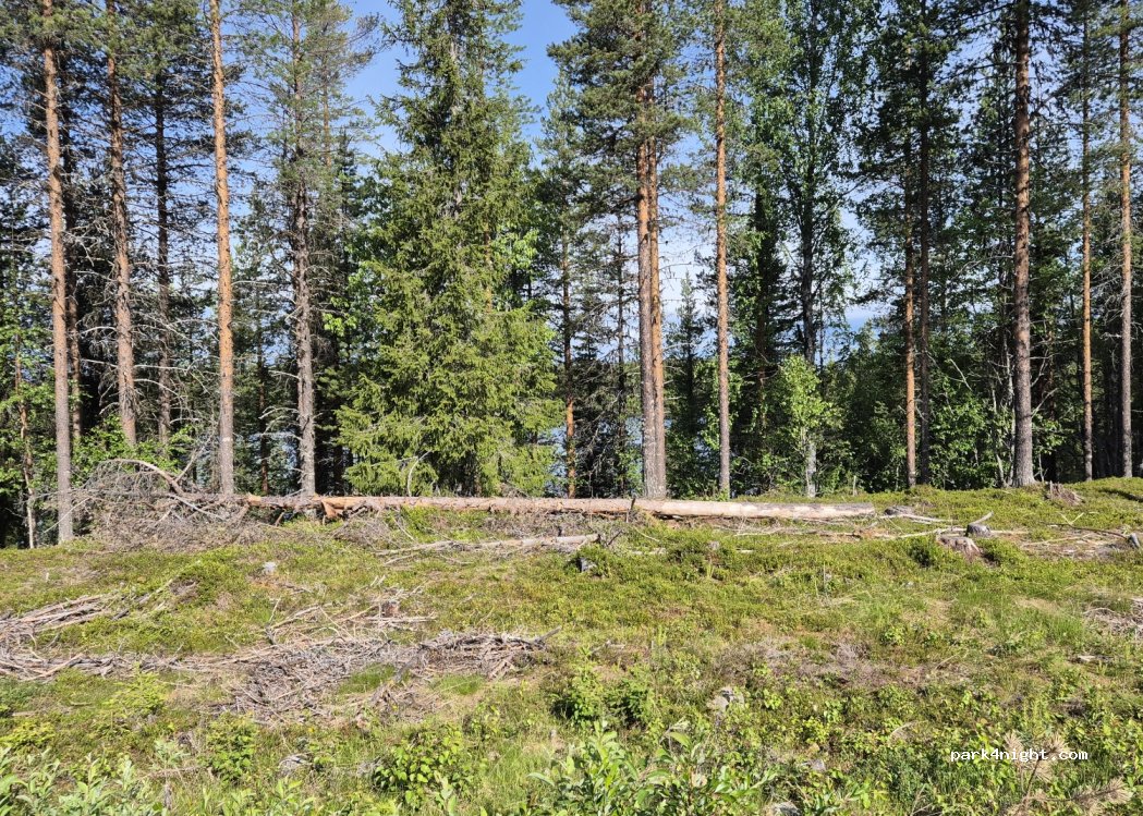 (933 93) Abborrträsk - — foto 3
