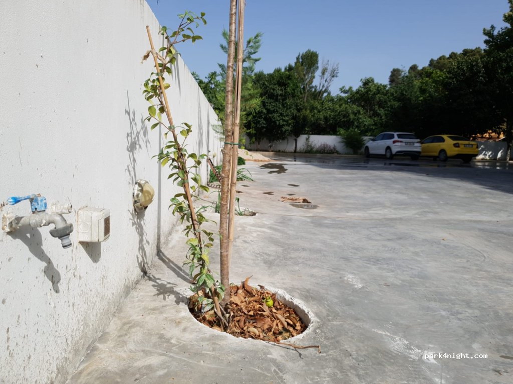 Parking - Hotel Mondo — foto 2