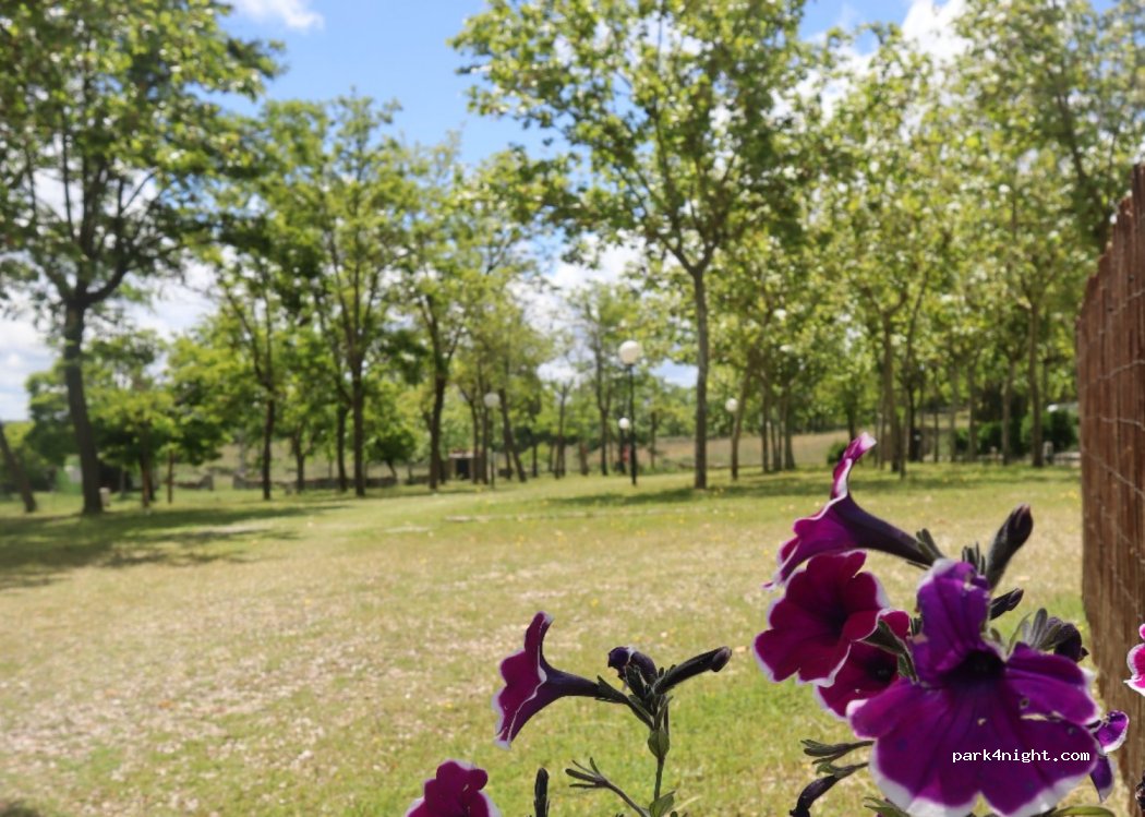Camping Arribes del Duero — foto