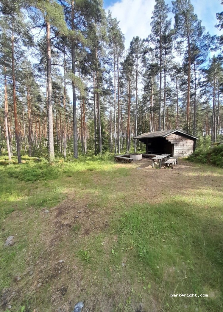 (595 92) Pickedal - — foto