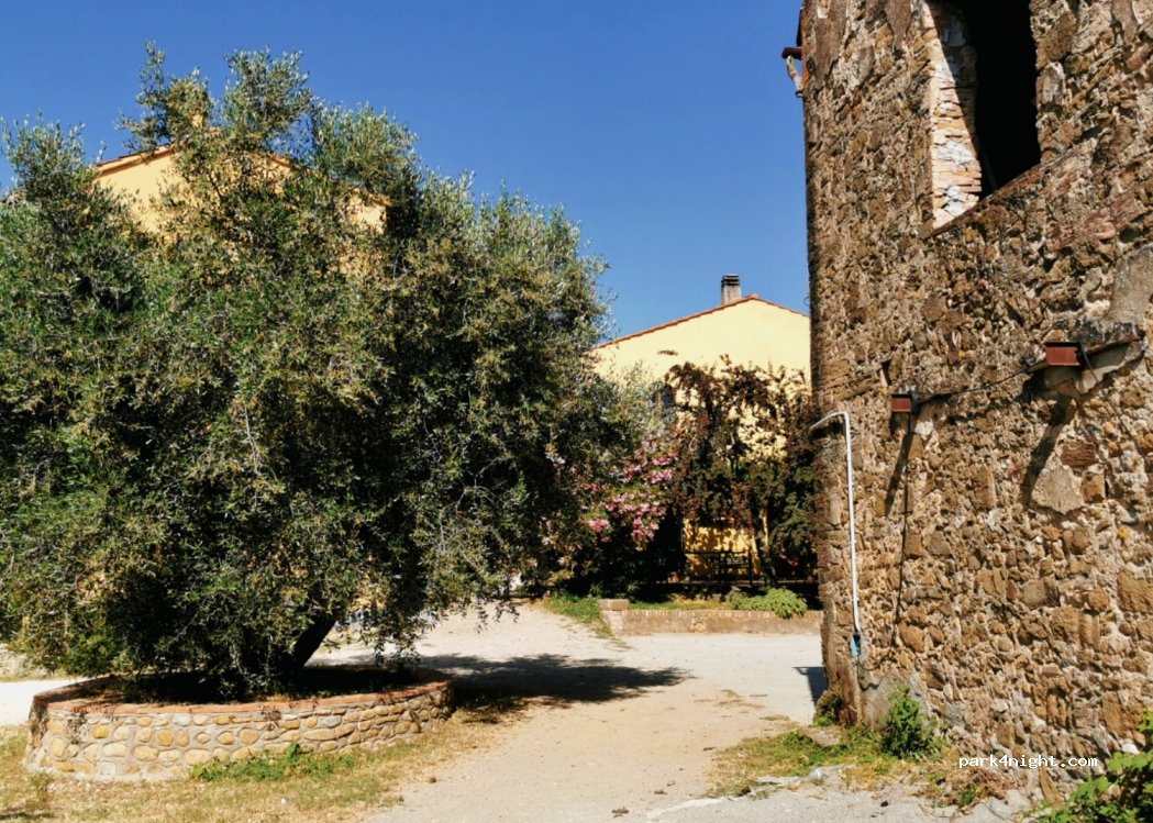 Azienda Agricola — foto 2