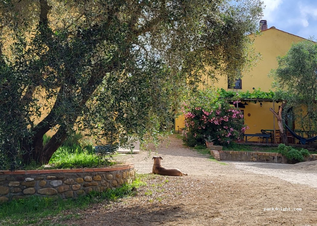 Azienda Agricola — foto 3