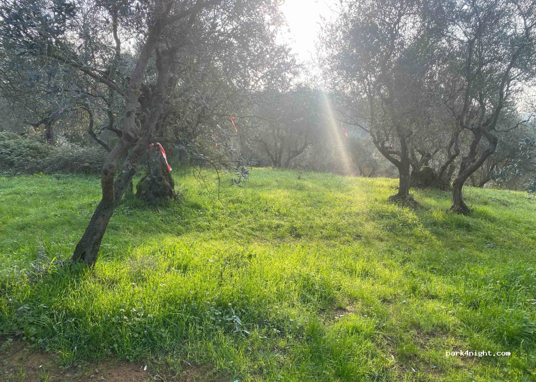Azienda Agricola — foto 4