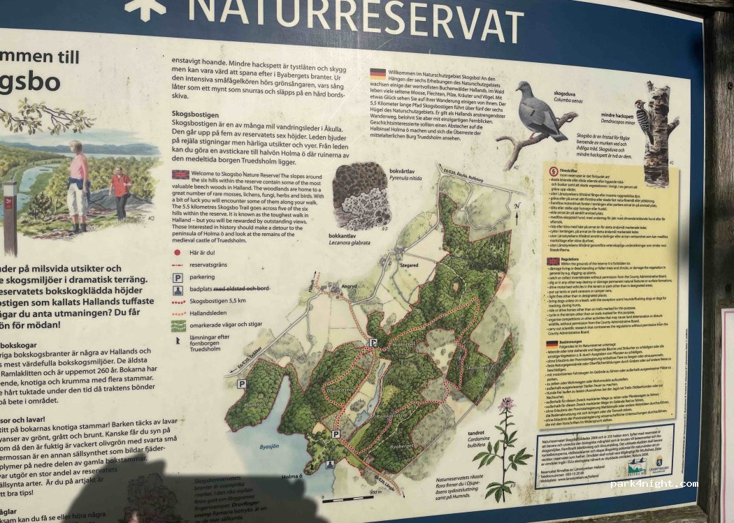 (432 77) Tvååker - Unnamed Road — foto