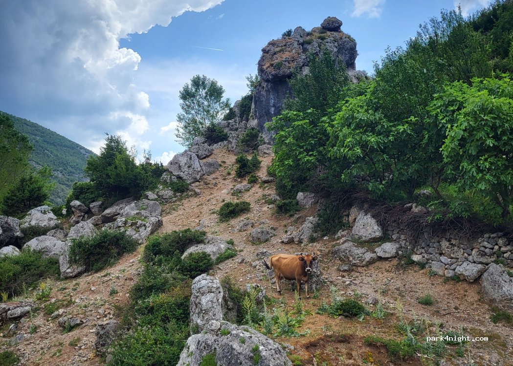 Camping Pepushaj — foto 2