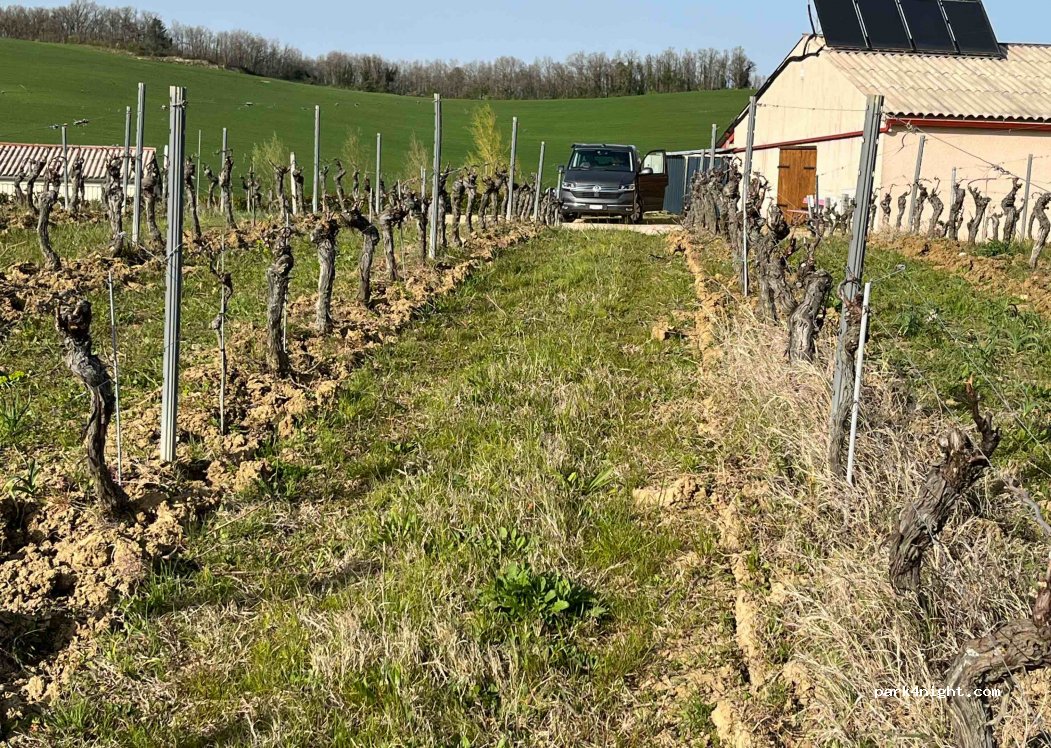 Domaine DUFFAU — foto