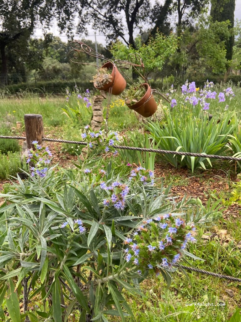 Immersion Nature en Provence — foto
