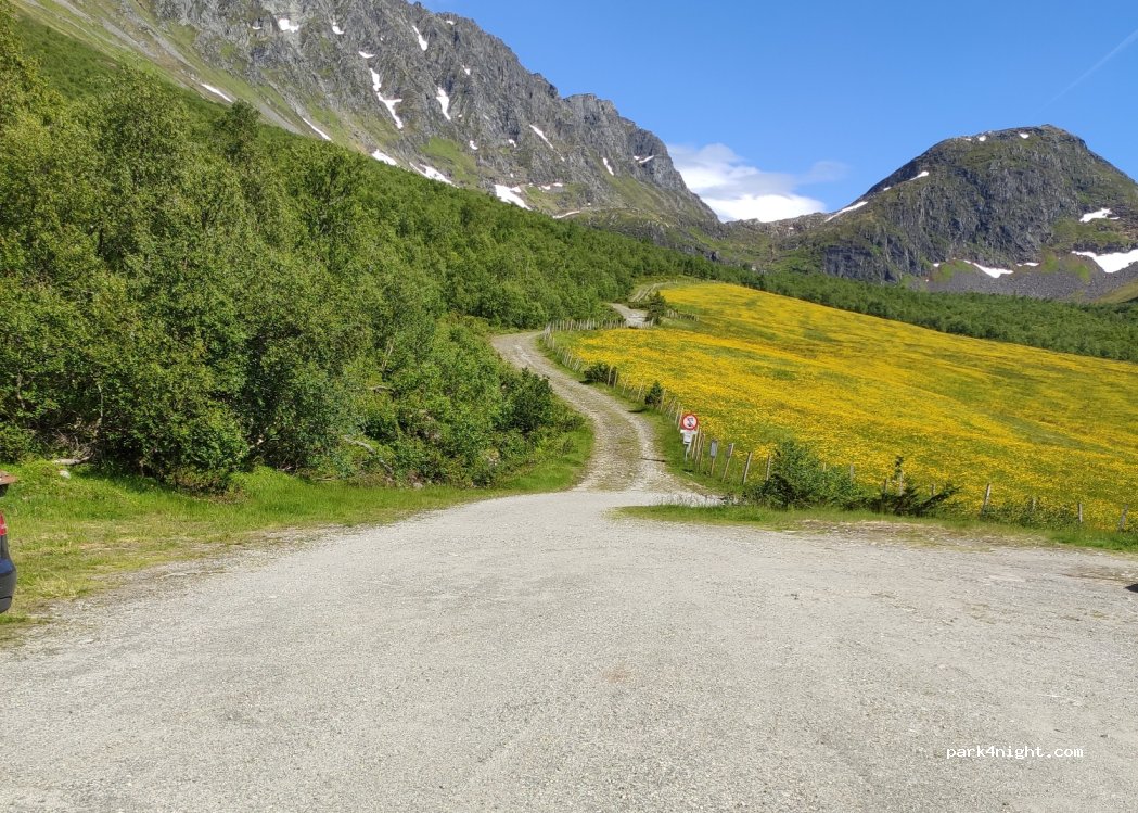 (6165) Sæbø - 134 Kvistadvegen — foto 2