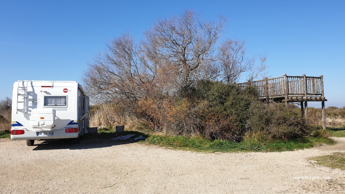 (13200) Arles - Route de Fielouse À Sambuc — foto