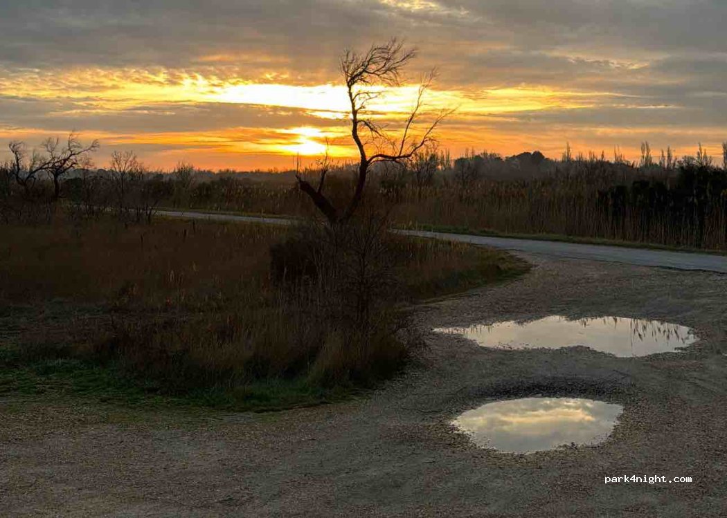 (13200) Arles - Route de Fielouse À Sambuc — foto 4