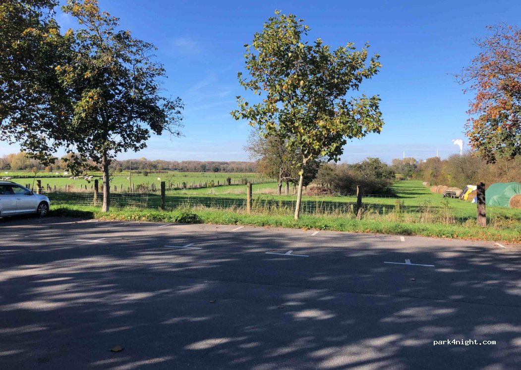 (68782) Brühl - 1 Im Rheinfeld — foto