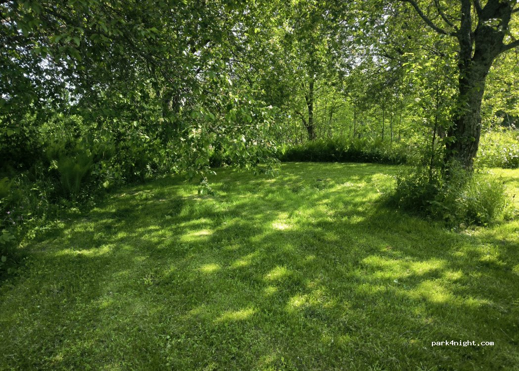 Kielosaari Riverside Cottages and Camping — foto 2