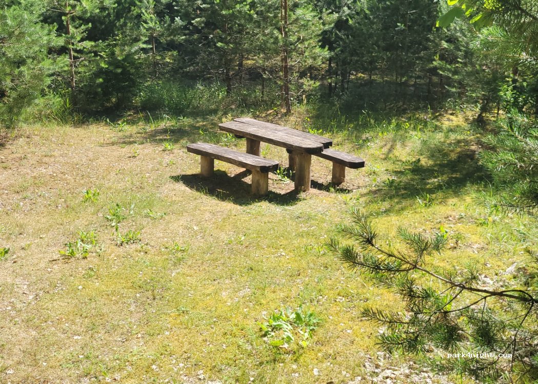 (71259) Kurynė - Unnamed Road — foto 2