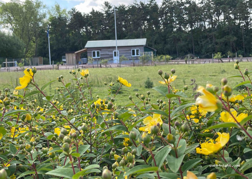 Camperpark Zuienkerke — foto 5