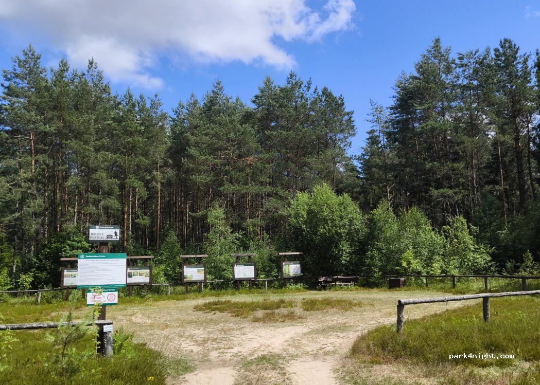 (17-307) Adamowo-Zastawa - — foto