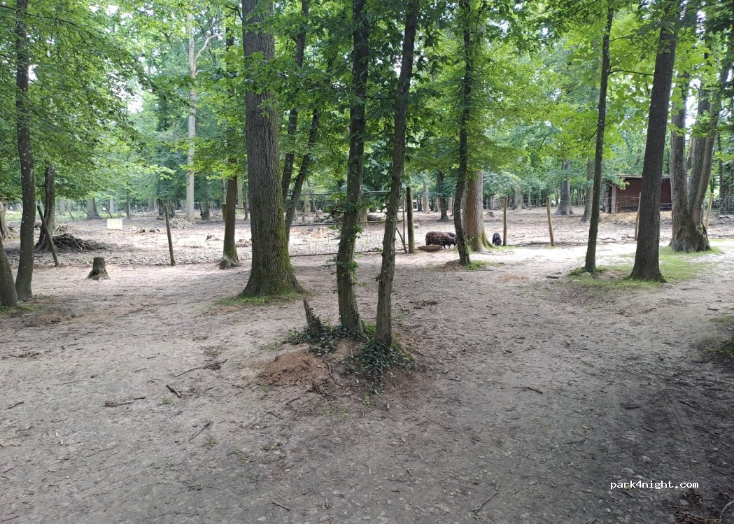 (91640) Janvry - Rue du Bois de Montmarre — foto 3