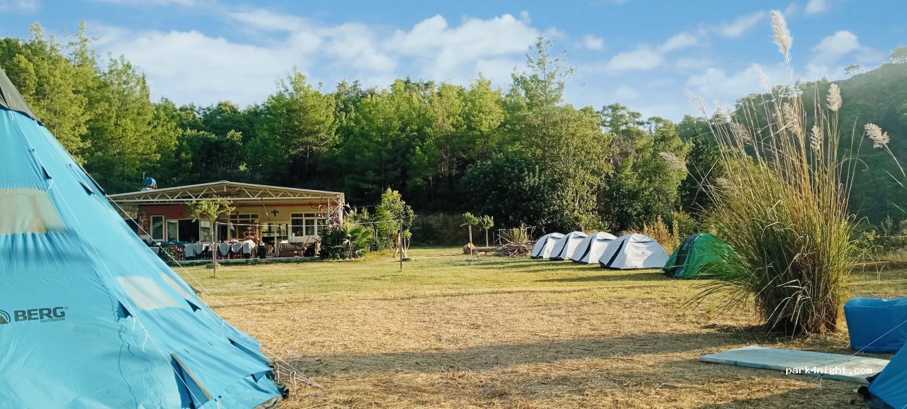 Jacaranda Lodge .Moterhomes & Camping — foto 4