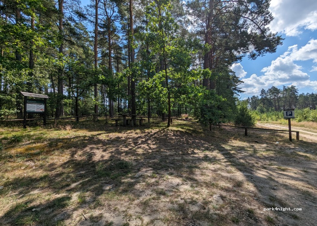 (12-122) Warchały - 57 Akacjowa — foto 3