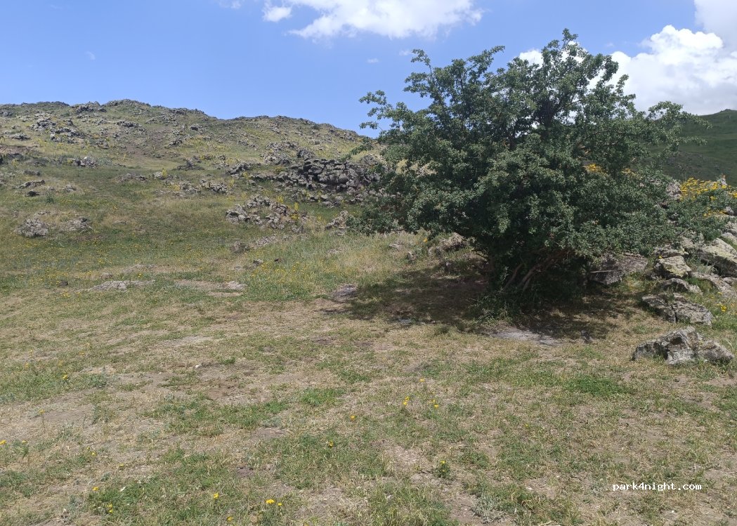 (76002) Ağrı Dağı Milli Parkı - — foto