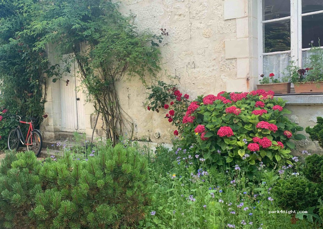 Le Moulin de Saussaye — foto 2