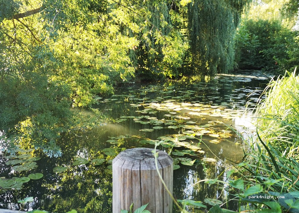 Le Moulin de Saussaye — foto 5