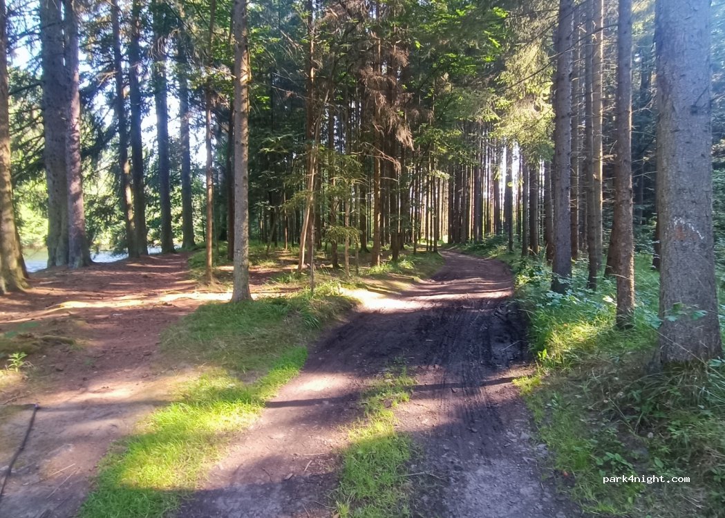 (342 01) Dlouhá Ves-Sušice - — foto 2