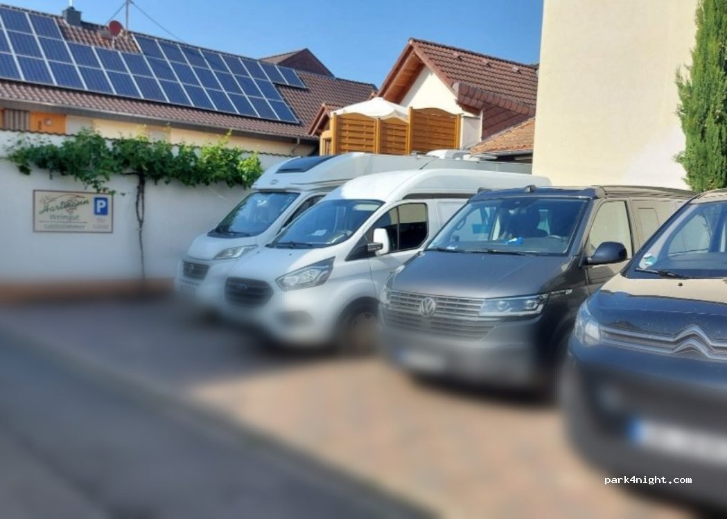 Weingut Werner Hartmann — foto