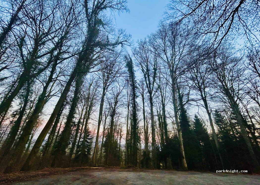 (78239) Rielasingen-Worblingen - Unnamed Road — foto 2