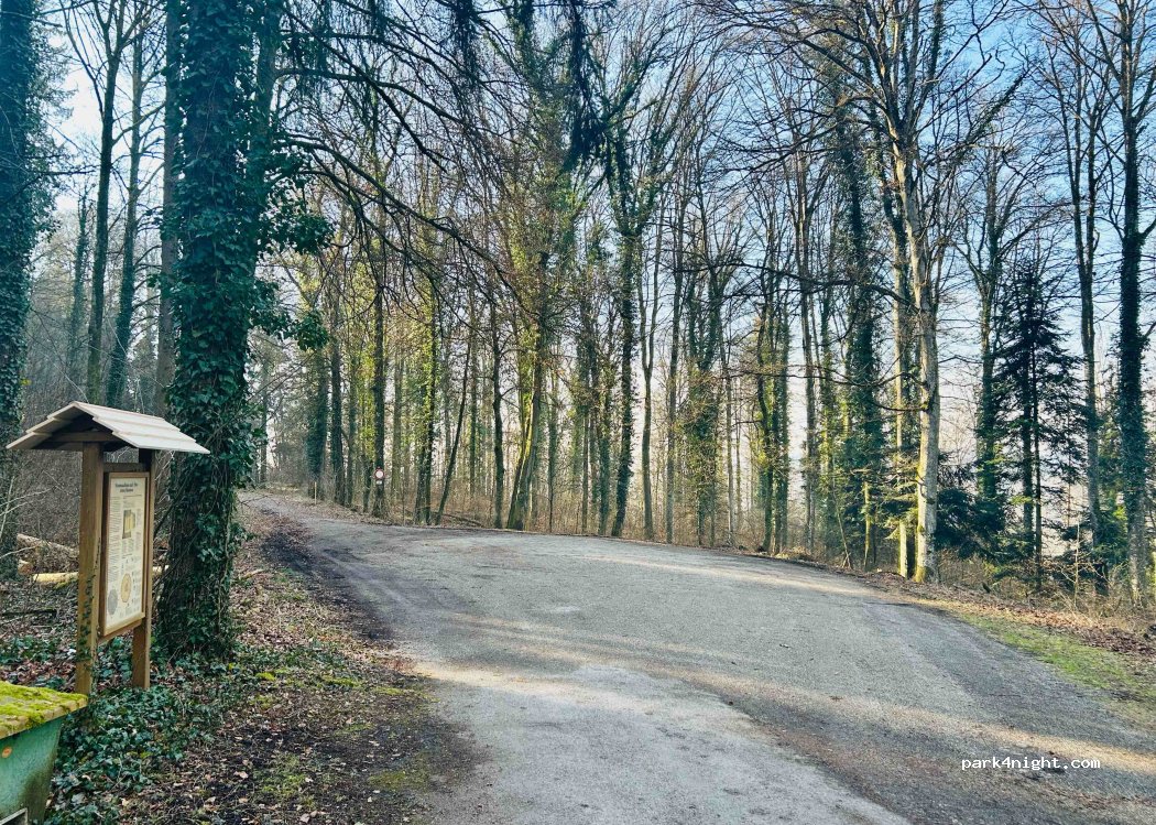 (78239) Rielasingen-Worblingen - Unnamed Road — foto 3