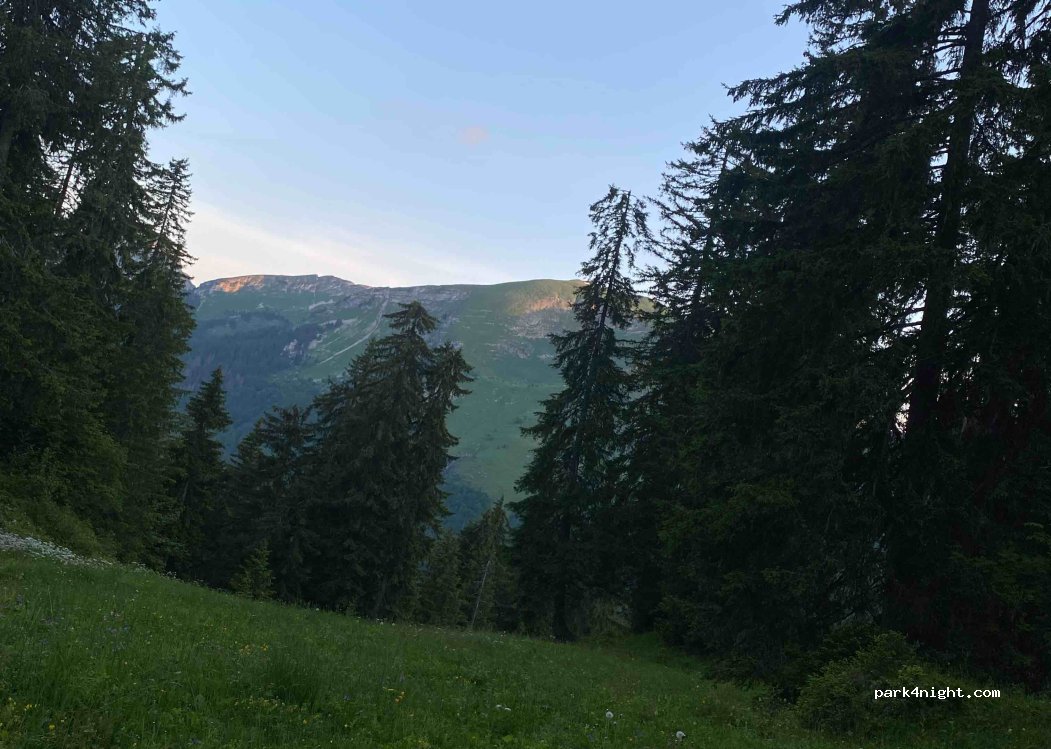 () Montriond - Route de la Joux Verte — foto
