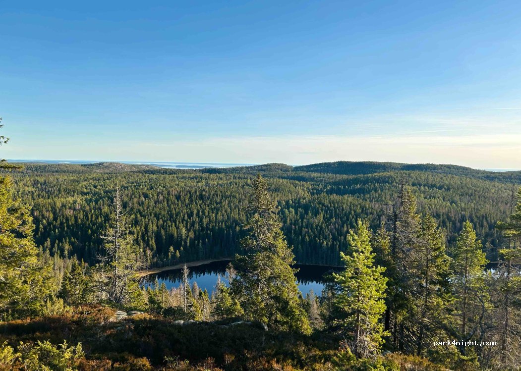 (893 91) Skuleskogen NP - Unnamed Road — foto 5