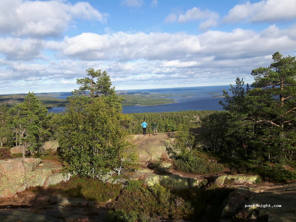 (893 91) Skuleskogen NP - Unnamed Road — foto 2