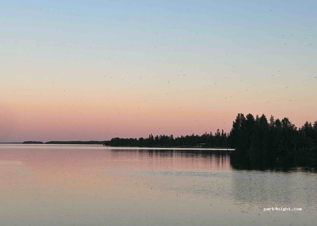 (91700) Vaala - 16 Vaalankurkuntie — foto