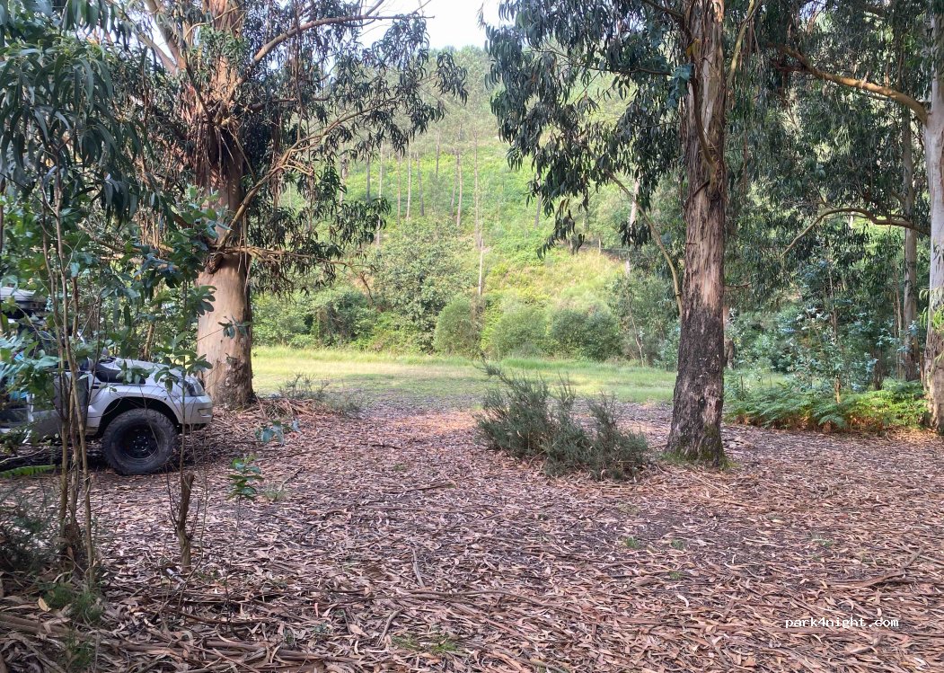 (4440) Valongo - 4440 Corredor Ecológico — foto 2