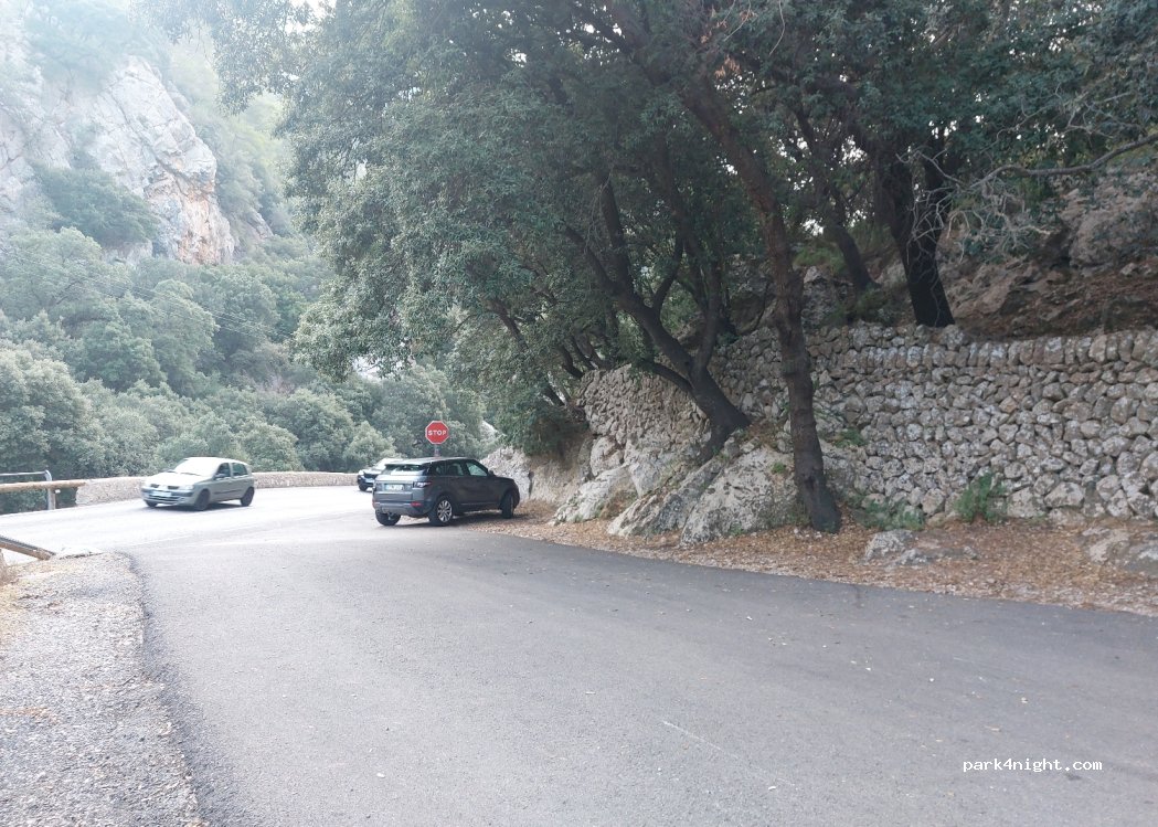 (07170) Valldemossa - PM-111 — foto 2