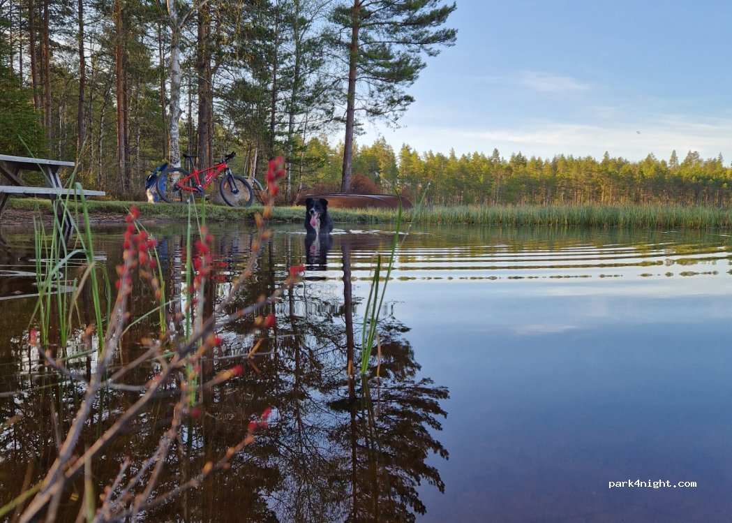 Kullsvedens Ställplats — foto