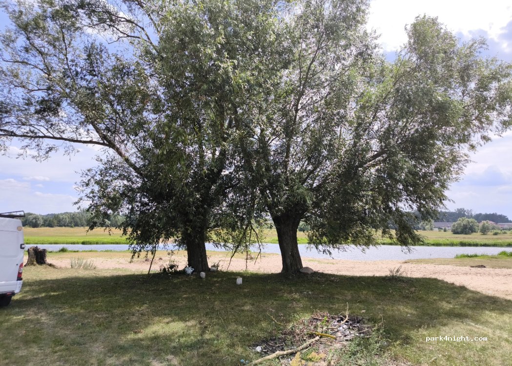 (19-104) Zajki - — foto