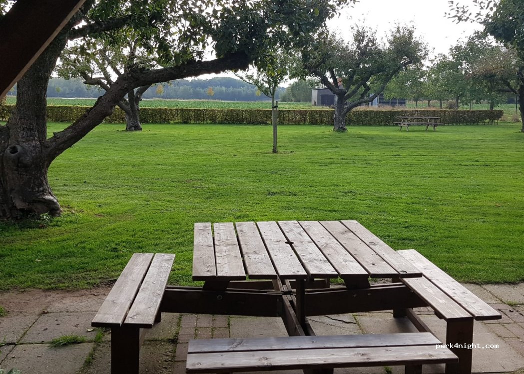 minicamping Achter t Hofke — foto 3