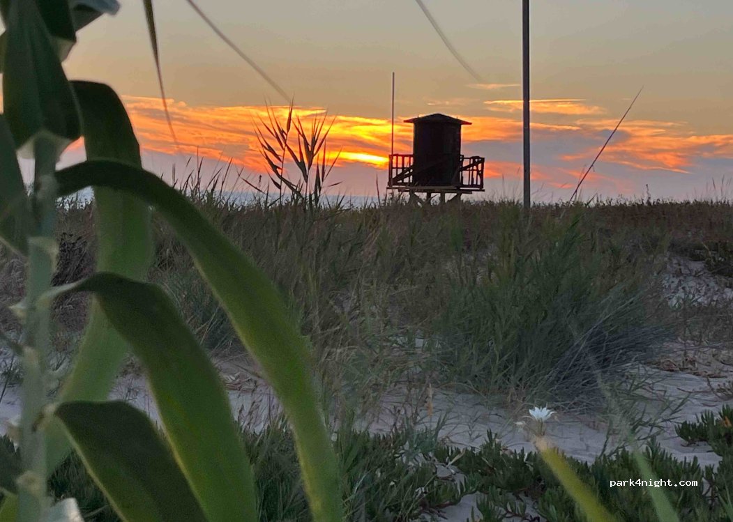 The Van Spot El Palmar — foto 2