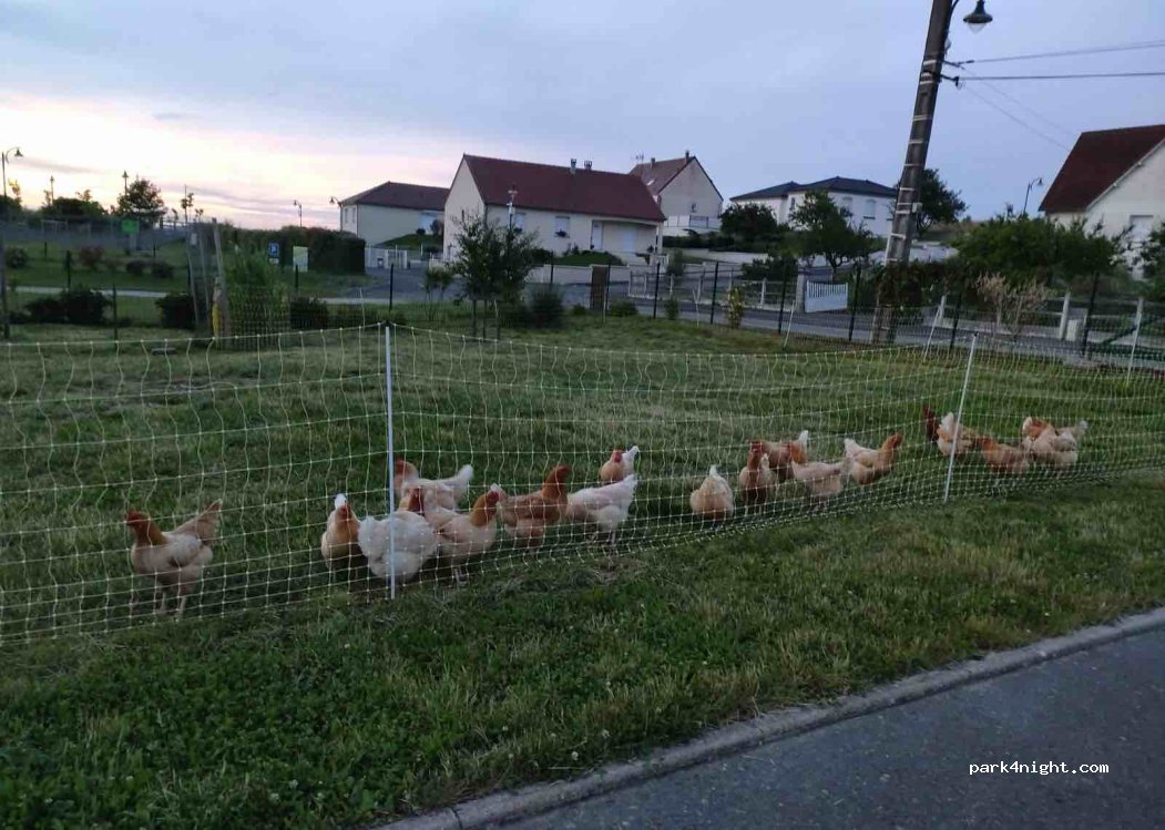 Christine et Paul vous accueillent au coeur du vignoble champenois. — foto 2