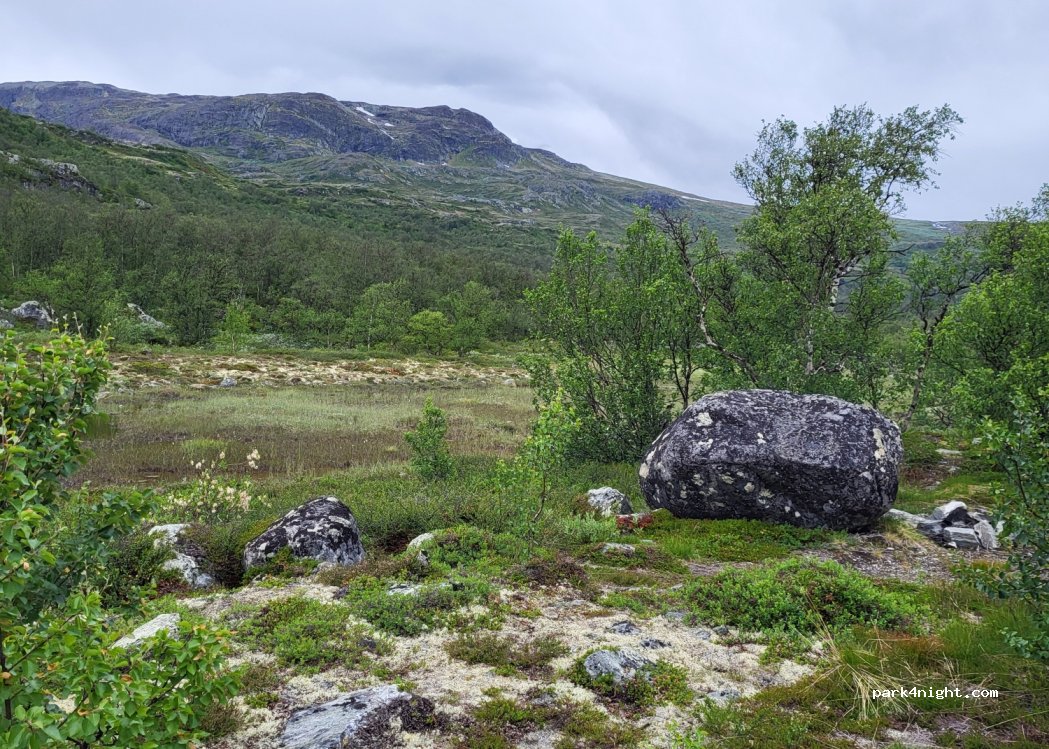(2683) Tessanden - 3216 Sjodalsvegen — foto 3