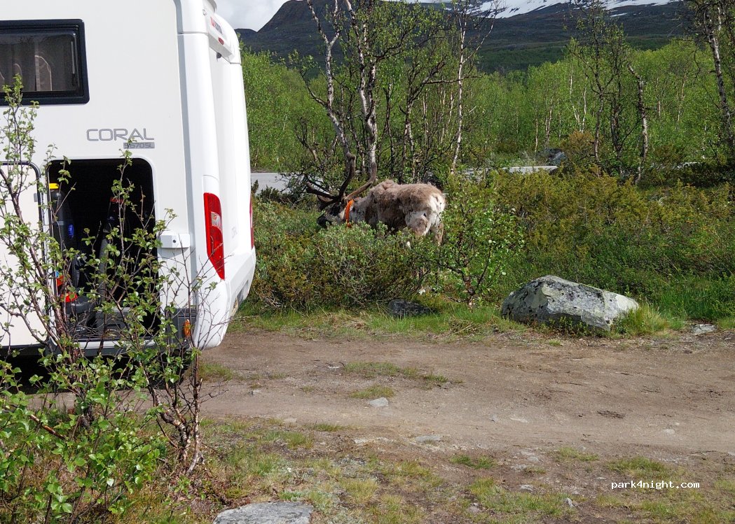(2683) Tessanden - 3216 Sjodalsvegen — foto 5
