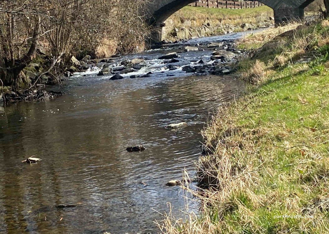 (57629) Limbach - 2 Mühlenaustraße — foto 3