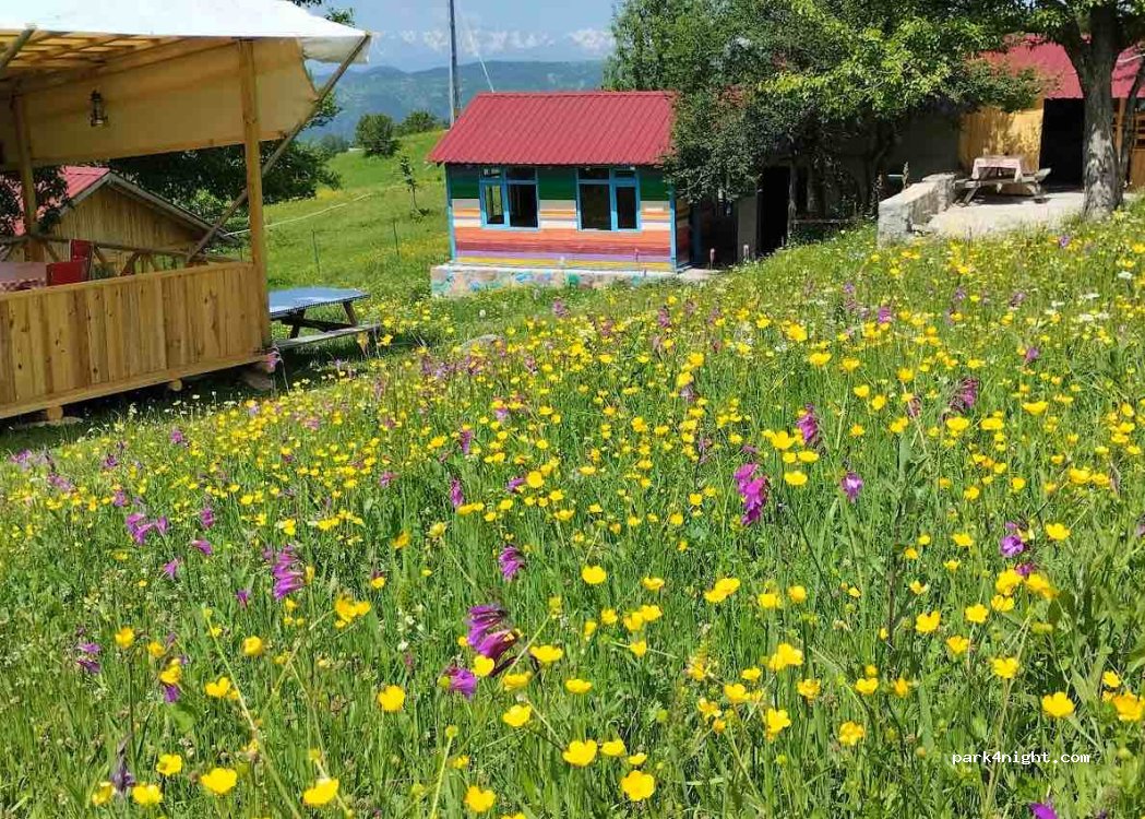 Pınarlı Otantik Kır Lokantası — foto