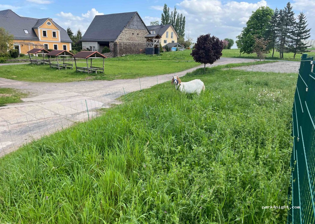 (07570) Harth-Pöllnitz - Struth 1A — foto
