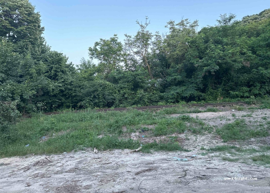 (735100) Huși - 88 Strada Donea — foto