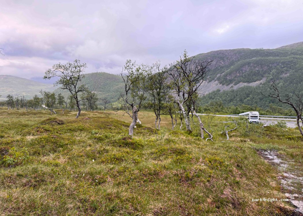 (9100) Lyfjord - — foto